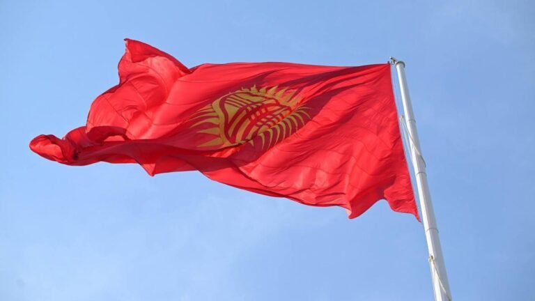 Тамак-аш, жатакана жана эвакуация: Кыргызстан Жакынкы Чыгыштагы өз жарандарын таштаган жок