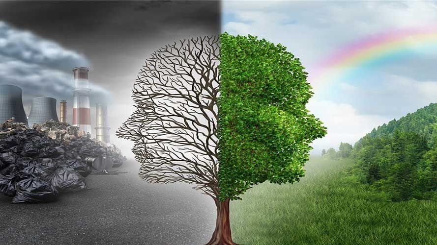 Кыргызстанда 2025-жылдагы жаратылышты коргоо ишинин жыйынтыктары чыгарылды: 4 млн сом айып пул жана сейрек кездешүүчү жаныбарларды алуу