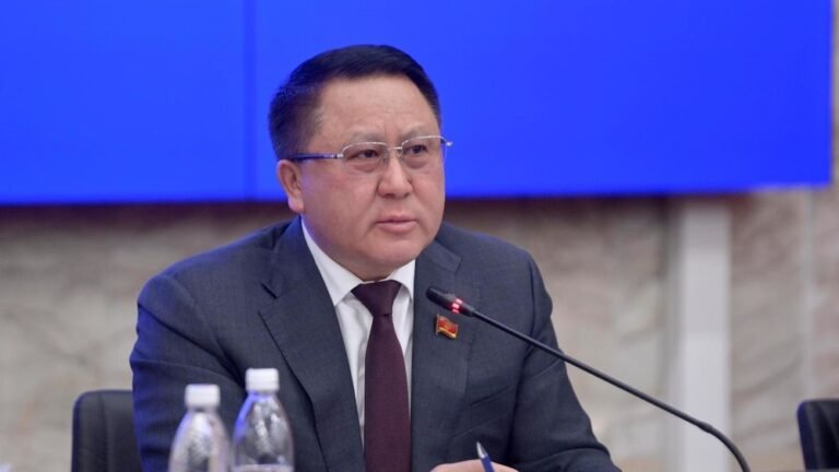 БШК депутат Курманкул Зулушевди мандатынан ажыратты