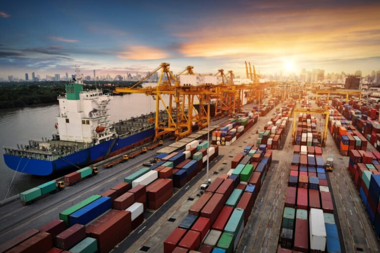 Кыргызстандагы россиялык инвесторлор саясий тобокелдиктерден камсыздандырылат