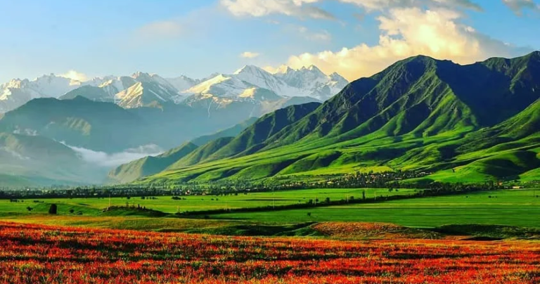 Кыргызстан жерлерди калыбына келтирүү боюнча эл аралык программага кошулду