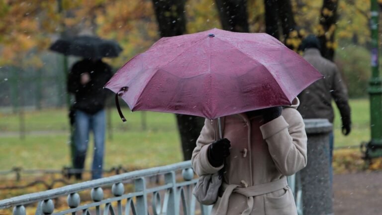 Жаан, кар жаайт: 2-мартка карата аба ырайы