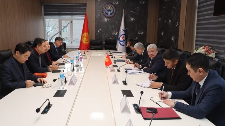 Кореялык ишкана Кыргызстанда 300 электр кубаттоочу станция орноштурат