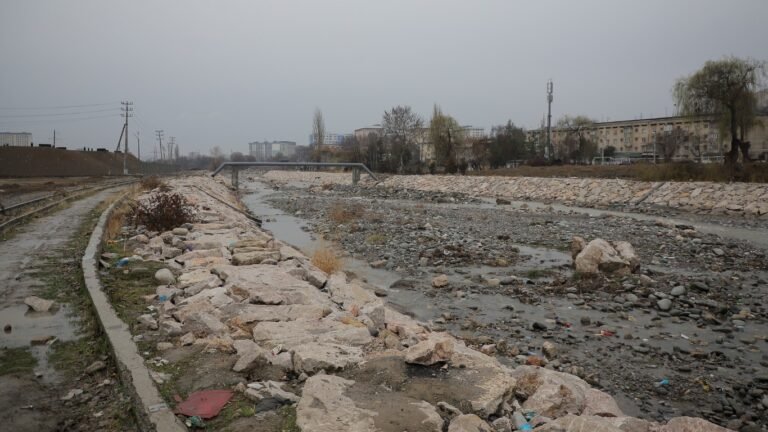 Оштогу Ак-Буура дарыясынын жээгине веложол, сейил бактар курулат