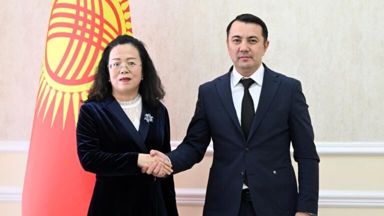 Кытайдын элчиси кыргыз-кытай кызматташуусунун «алтын доору» башталганын билдирди