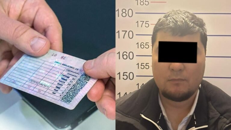 Айдоочулук күбөлүк алып берем деп, алдап кеткен. Бишкекте шектүү жаран кармалды