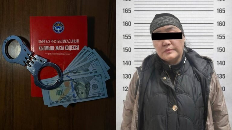 Жактоочу ири өлчөмдөгү алдамчылыкка шектелип кармалды