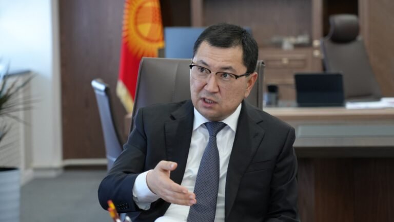 Бишкек менен Чүйдө бодо малды семиртүү менен алектенген фермерлерге жеңилдетилген насыялар берилет