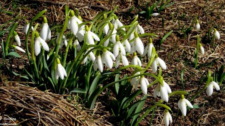 20-март: Айрым аймактарда жаан жаайт