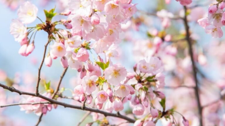 Прогноз погоды на 21 марта