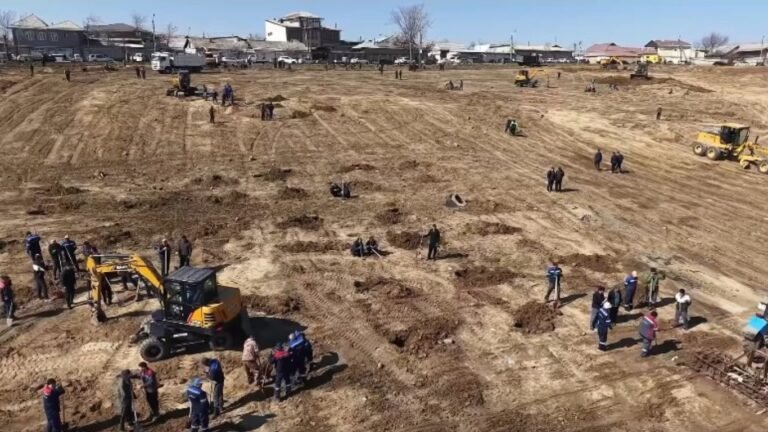 Ош шаарындагы Хохлова көрүстөнүнүн ордуна көчөттөр отургузулуп, жашыл аймакка айланат