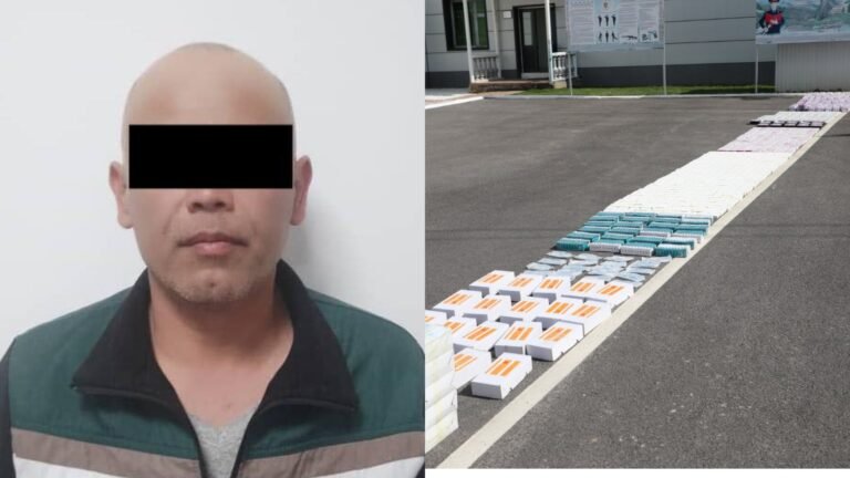 Баасы 3,4 млн сомду түзөт. Баткенде аткезчилик менен келген дары-дармектер табылды