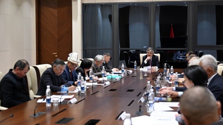 Кыргыз тарыхы боюнча 15 томдук китеп жазылат