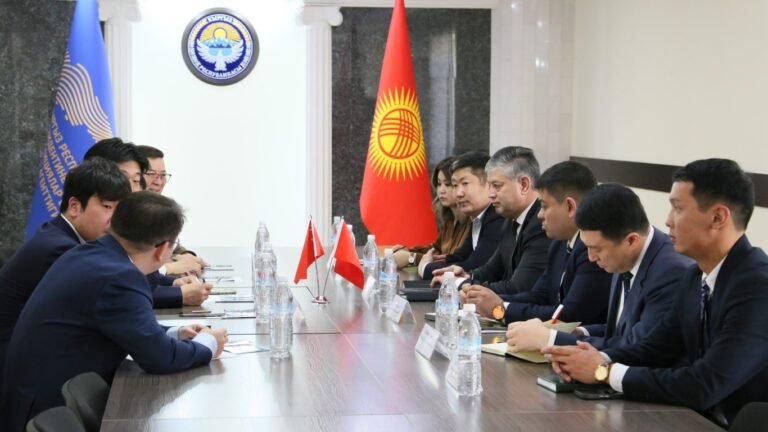 Баткенде кытайлык ишкана күн электр станциясын курат