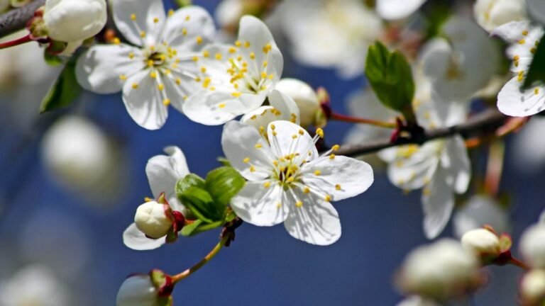 26-март: Өлкө боюнча күн ачык болот