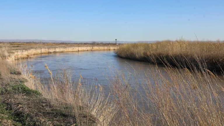Сокулук жана Аламүдүн райондорунда Чу дарыясынын жээгин бекемдөө иштери жүрүүдө