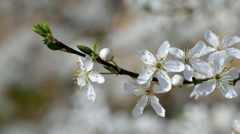 27-мартка карата аба ырайы