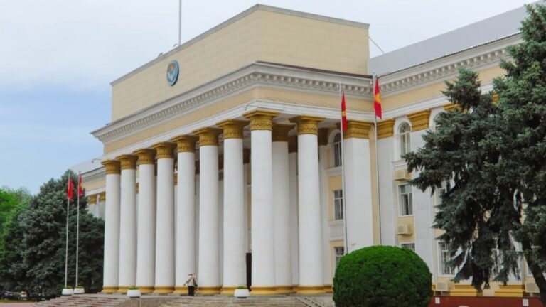 Этникалык кыргыздар болгон чет өлкөлүк жарандардын Кыргызстанда жүрүү тартибине өзгөртүүлөр киргизилди