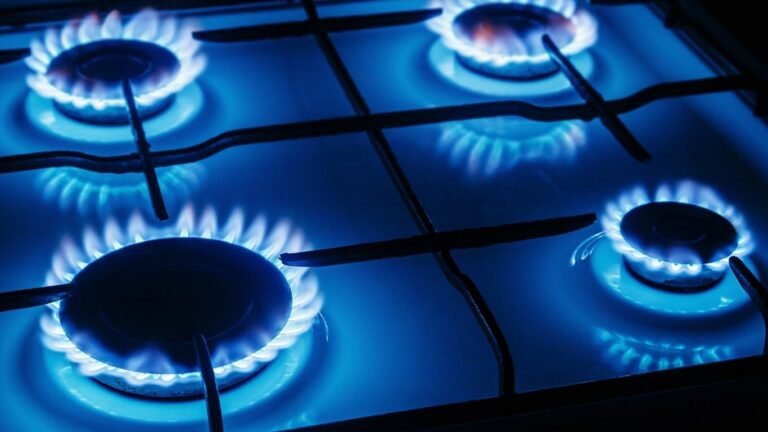 Бишкектин бир бөлүгүндө газ үч күнгө өчүрүлөт