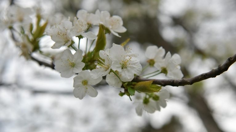 1-апрелге карата аба ырайы