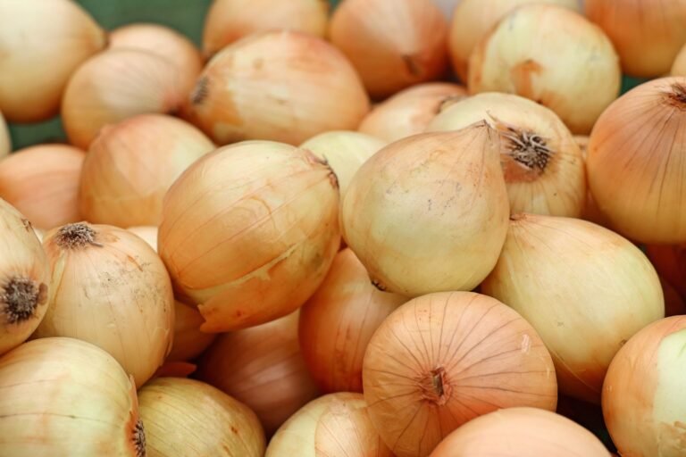 Маркировкасы жок болгондуктан Казакстандан келген 25 тонна пияз Кыргызстанга киргизилген жок