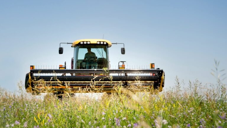 Кыргызстан участвует в международном агрофоруме: стороны договорились о модернизации через трансфер технологий