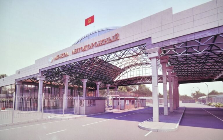 Моющие средства и продукты: на КПП «Ак-Жол» пресечена контрабанда