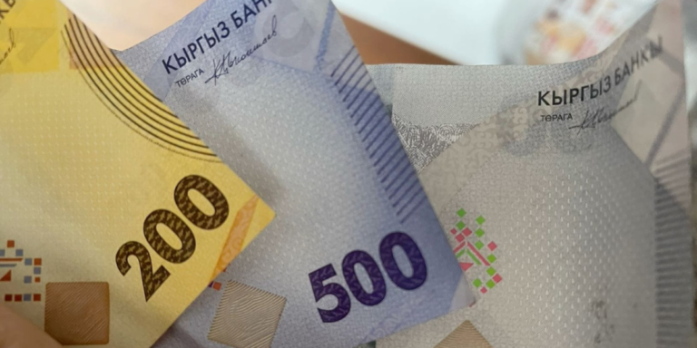 Кыргызстанда жашоо минимуму 9 290 сомго чейин өстү