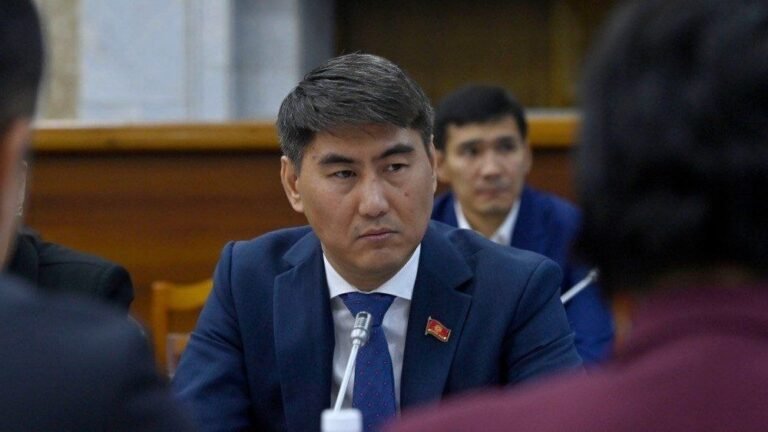 Аткезчилик, документтерди жасалмалоо — ТИМдин экс-башчысы Чыңгыз Айдарбековдун иши боюнча жаңы фактылар