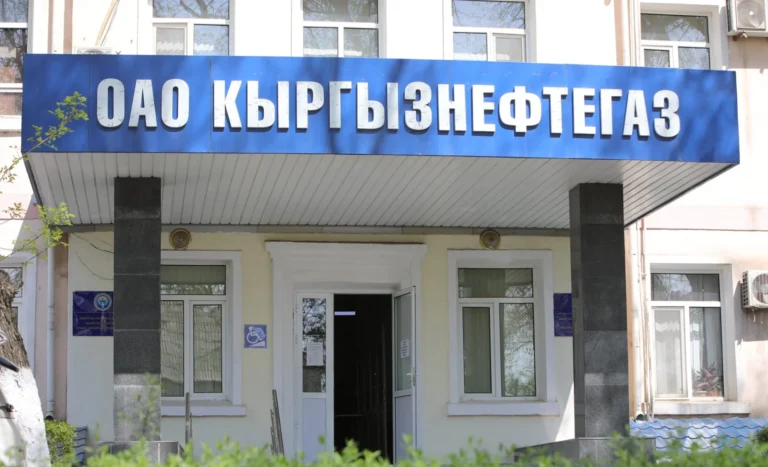 Активист «Кыргызнефтегаз» ишинде аты аталган компаниялардын миллиондогон кирешелери тууралуу айтып берди