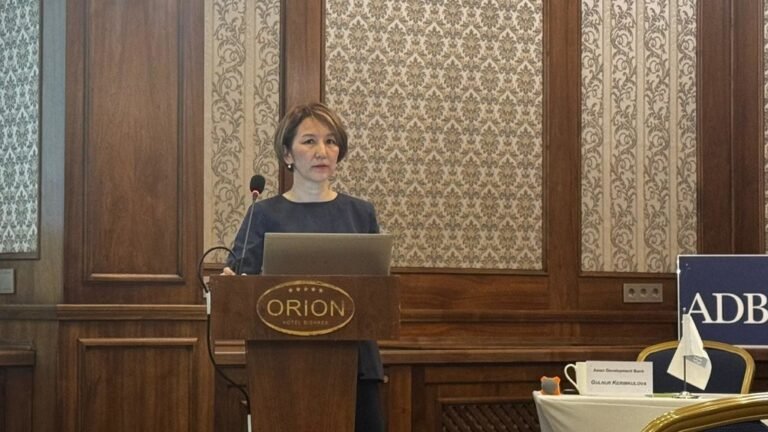 АӨБ Кыргызстанга экономиканы жеке сектордун эсебинен өнүктүрүүнү сунуштайт