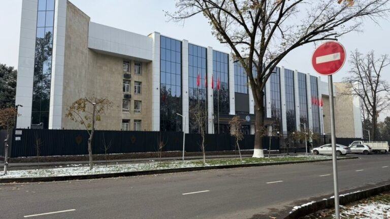 Бишкекте көп аял алууну декриминалдаштыруунун демилгечилери милицияга чакыртылды