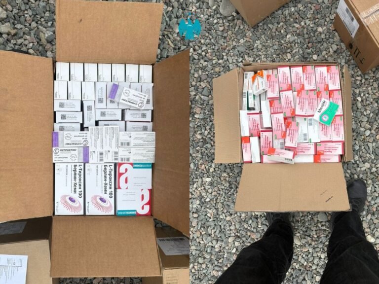 Казакстан менен чек арада бир миллион сомдон ашык суммадагы дары-дармектерди мыйзамсыз алып кирүү аракетине бөгөт коюлду