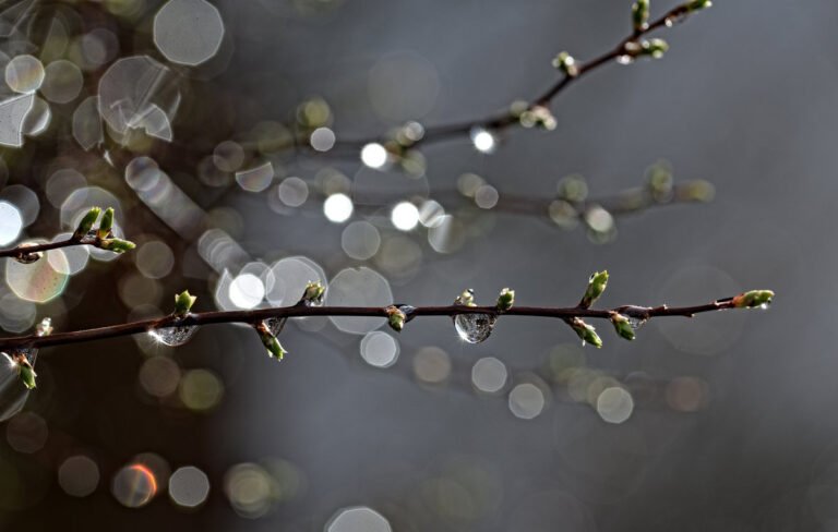 25-апрелге карата аба ырайы