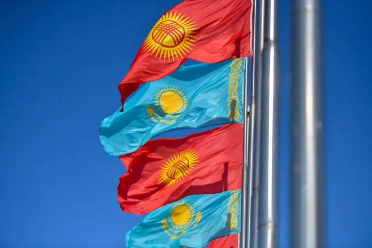 Казакстан жана Кыргызстан социалдык чөйрөдө санариптик чечимдерди алмашууну макулдашты