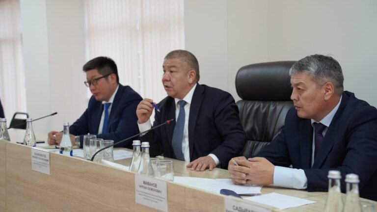 В Кыргызстане готовят новый закон для поддержки угольной отрасли и упрощения налогообложения