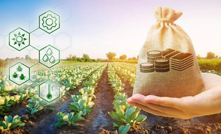 Кыргызстанда фермерлердин жеңилдетилген насыя алуусу үчүн электрондук кезек ишке киргизилди