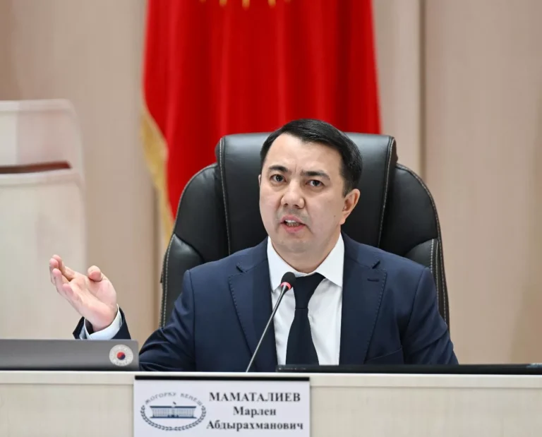 Марлен Маматалиев парламенттин Төрагасынын алдындагы Бизнести өнүктүрүү боюнча кеңештин ишин жандандырды
