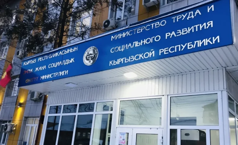 Кыргызстанда эң көп тигүүчүлөргө, айдоочуларга жана медицина кызматкерлерине суроо-талап жогору