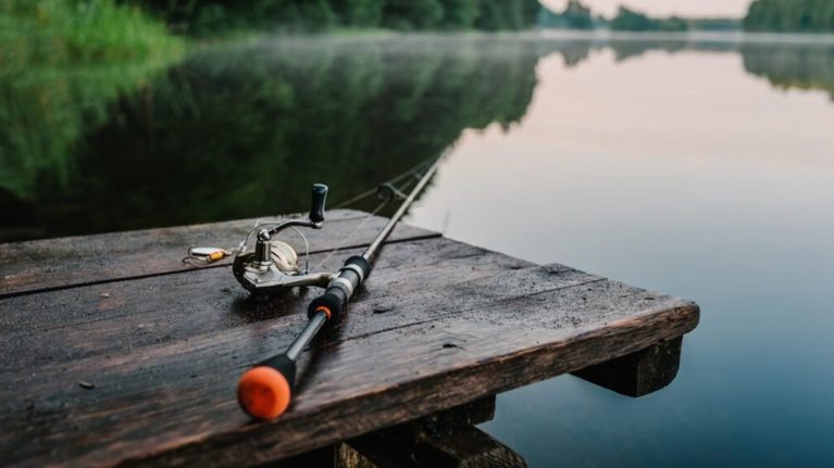 Баалуу балык түрлөрүн уулоого электрондук түрдө уруксат бериле баштады