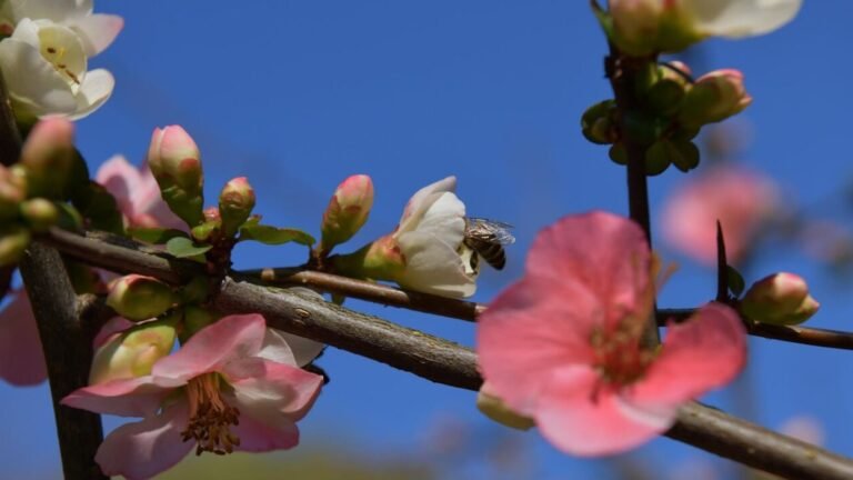 3-апрелге карата аба ырайы