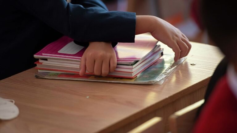 1-класска электрондук каттоо: Эки күндө 29 миңге жакын бала катталды