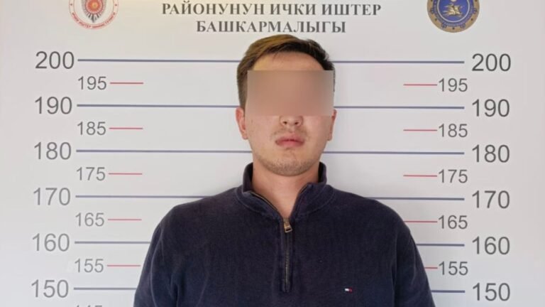 Бишкекте жол тандабас жөө өтмөктөн 25 жаштагы жаранды сүзүп кетип, ал каза тапты