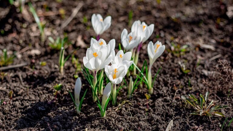 7-апрелге карата аба ырайы