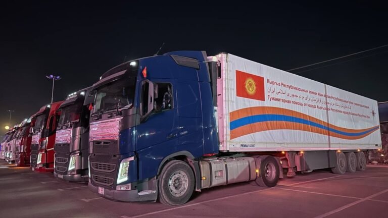 Кыргызстандын гуманитардык жардамы Иранга жетти