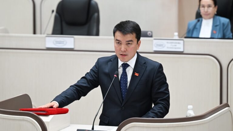 Жогорку Кеңештин дагы бир депутаты мандатын тапшырды