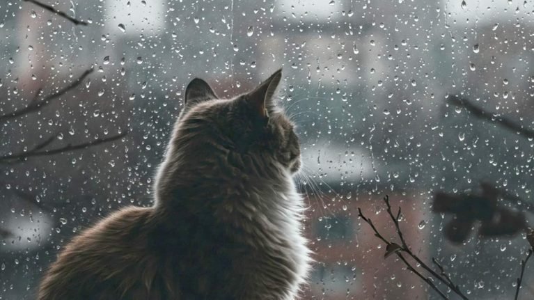 Бүгүн, 9-апрелде, көпчүлүк аймактарда жаан-чачын жаайт