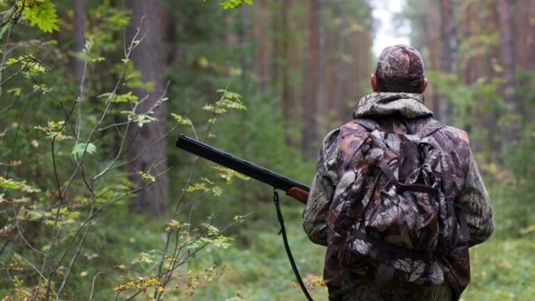 Жапайы жаныбарларды аткандар үчүн айып пулдардын өлчөмү жогорулады
