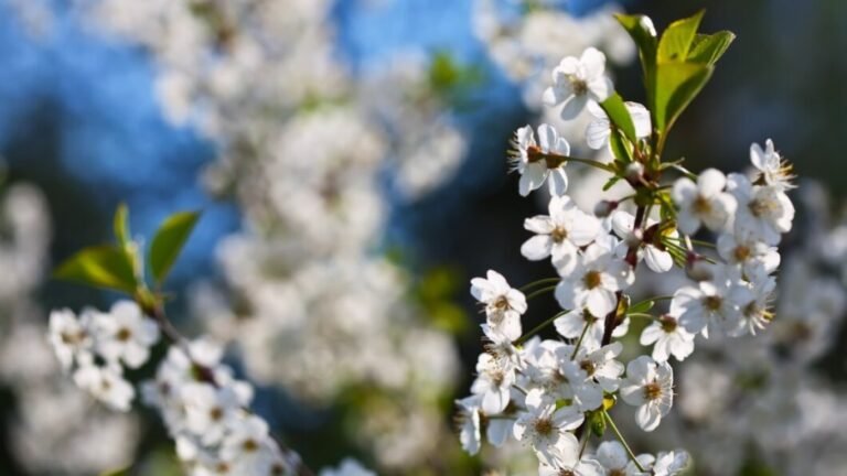 15-апрелге карата аба ырайы