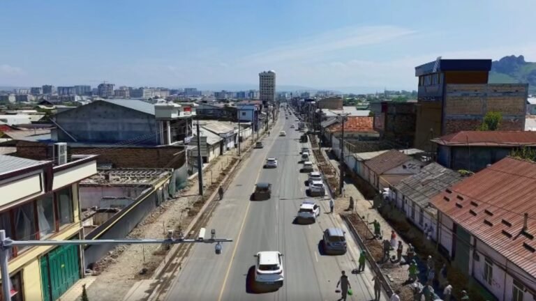 Ош шаарындагы Курманжан Датка көчөсүнө миң түп дарак отургузулду